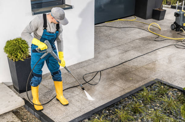 Best Surface-Specific Cleaning in Lacey, WA