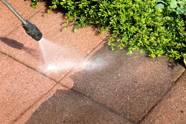 Best Fleet & Vehicle Pressure Washing in Lacey, WA